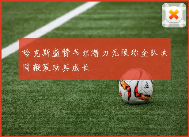 哈克斯盛赞韦尔潜力无限称全队共同鞭策助其成长