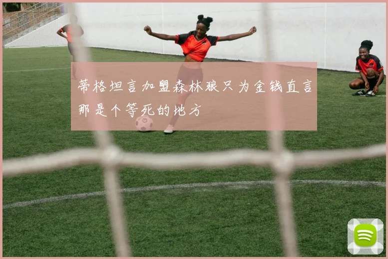 蒂格坦言加盟森林狼只为金钱直言那是个等死的地方