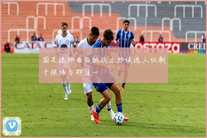 国足选帅面临挑战土帅候选人仅剩于根伟与邵佳一