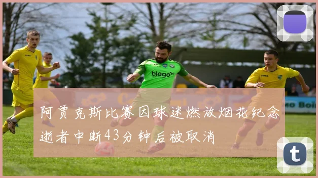阿贾克斯比赛因球迷燃放烟花纪念逝者中断43分钟后被取消