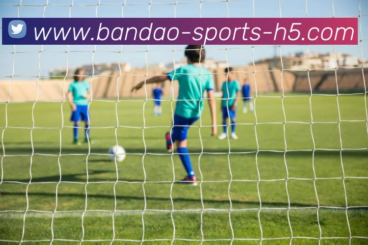 半岛体育发展历程